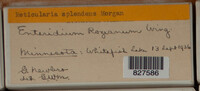 Image Associated With the Occurence
